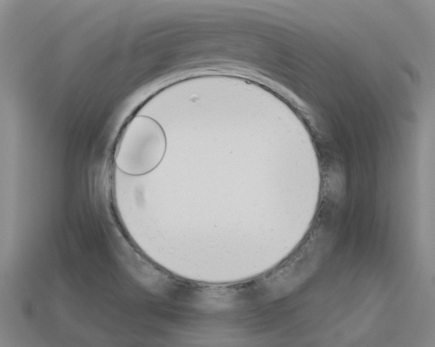 X0000113551514200909180948