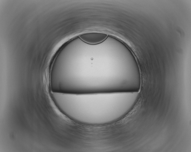 X0000113551515200909180948