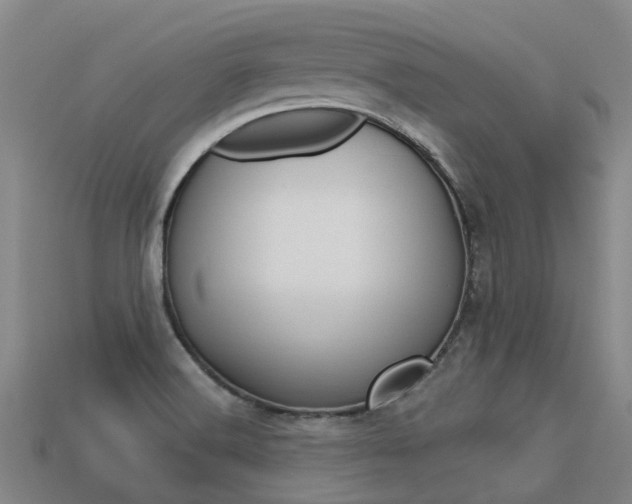 X0000113551516200909180948