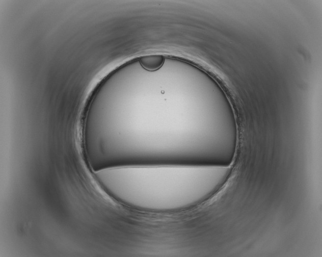 X0000113551517200909180948