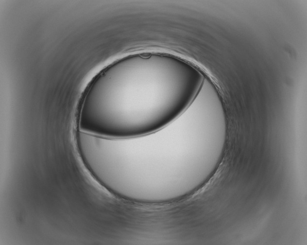X0000113551518200909180948