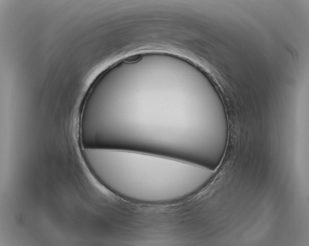 X0000113551519200909180948