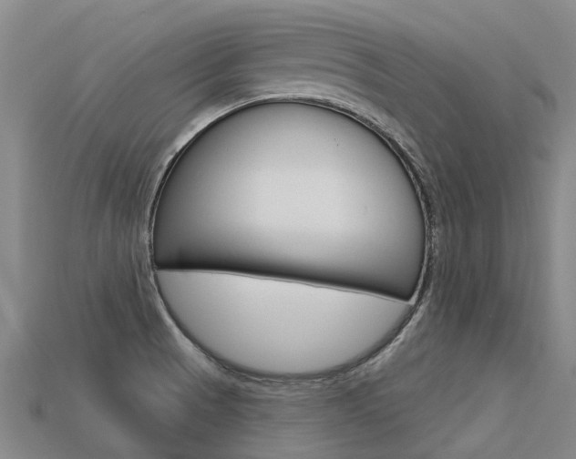 X0000113551521200909180948