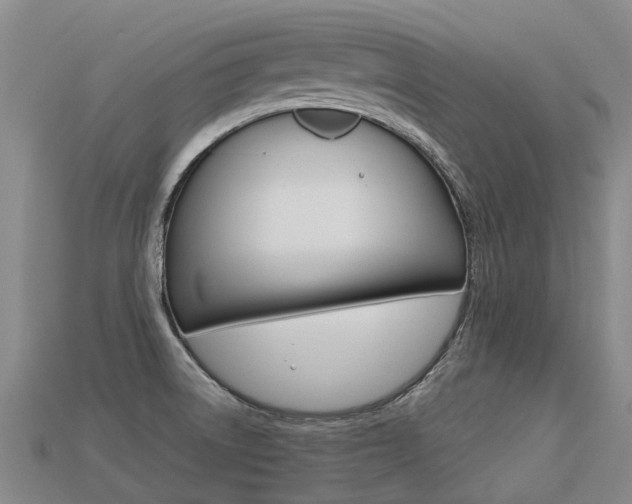 X0000113551522200909180948