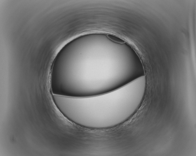 X0000113551524200909180948