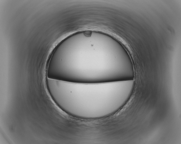 X0000113551525200909180948
