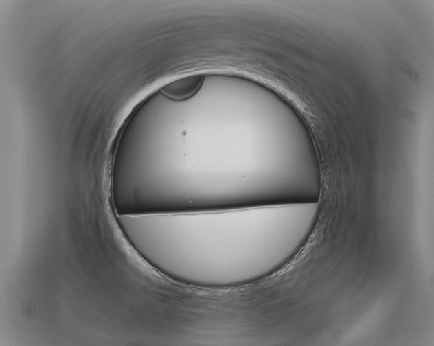 X0000113551526200909180949