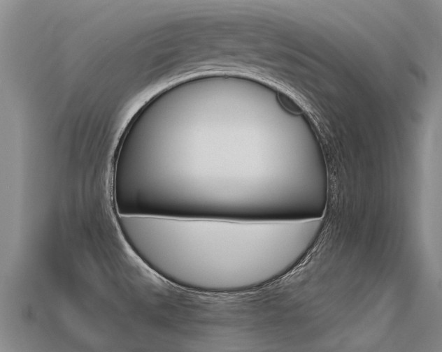 X0000113551527200909180949
