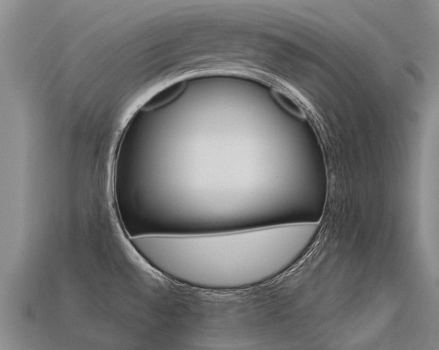 X0000113551528200909180949