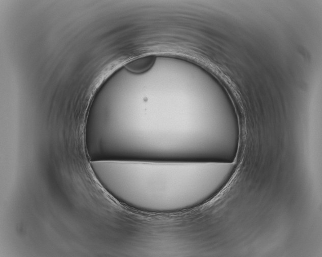 X0000113551529200909180949