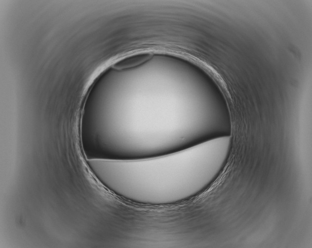 X0000113551530200909180949