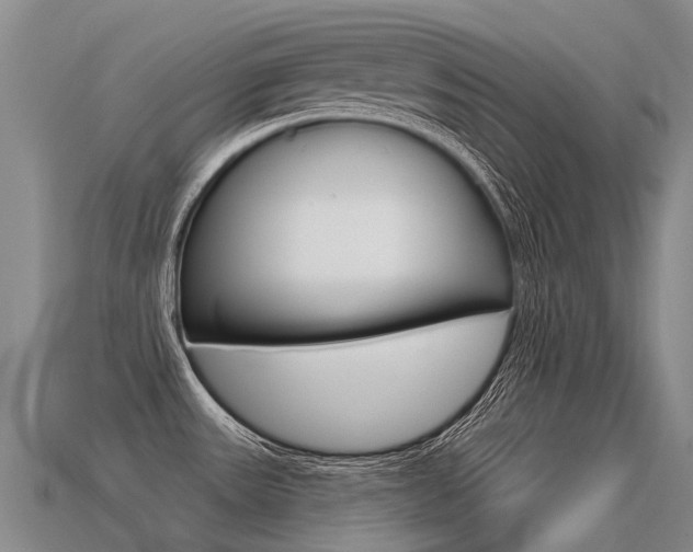 X0000113551531200909180949