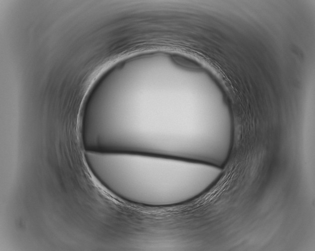 X0000113551535200909180949