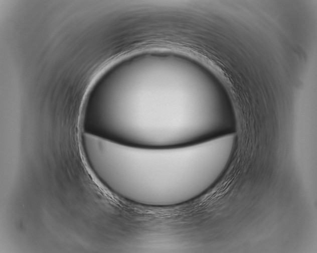 X0000113551536200909180949