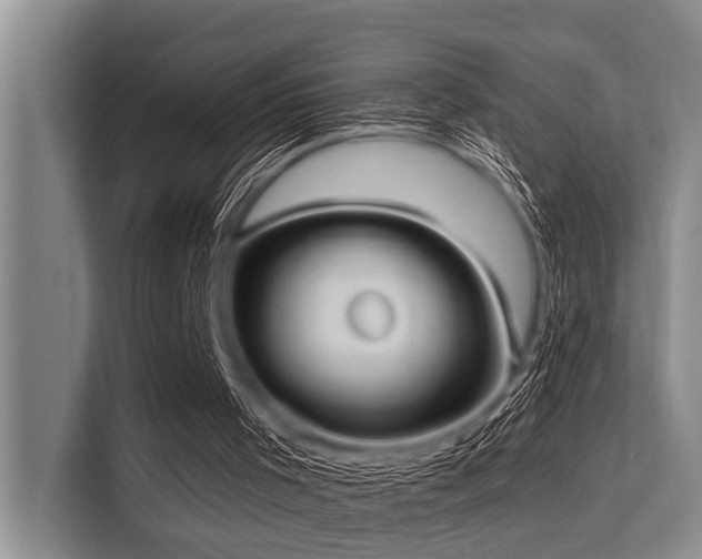 X0000113550001200909181209