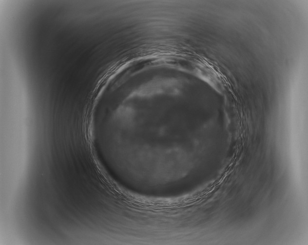 X0000113550002200909181209