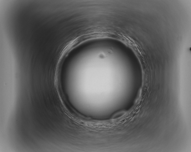 X0000113550003200909181209