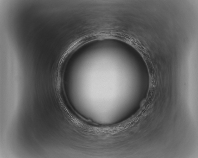 X0000113550005200909181209