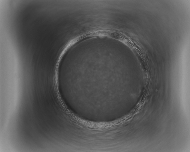 X0000113550006200909181209