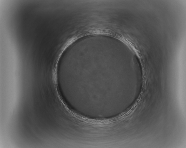 X0000113550008200909181209