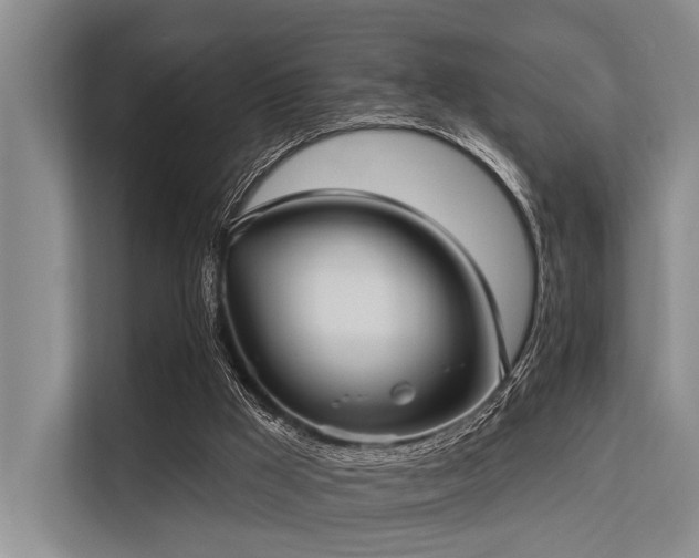 X0000113550009200909181209