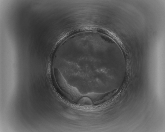 X0000113550010200909181209