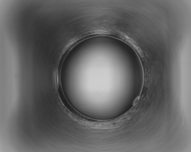 X0000113550011200909181209