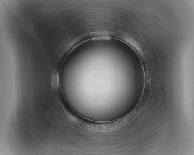 X0000113550013200909181209