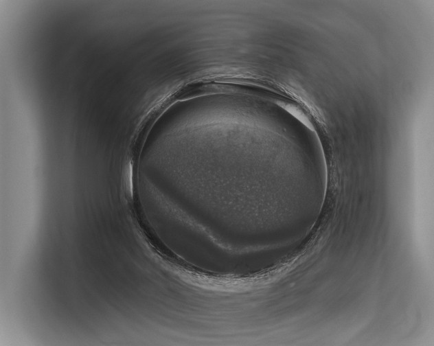 X0000113550014200909181209