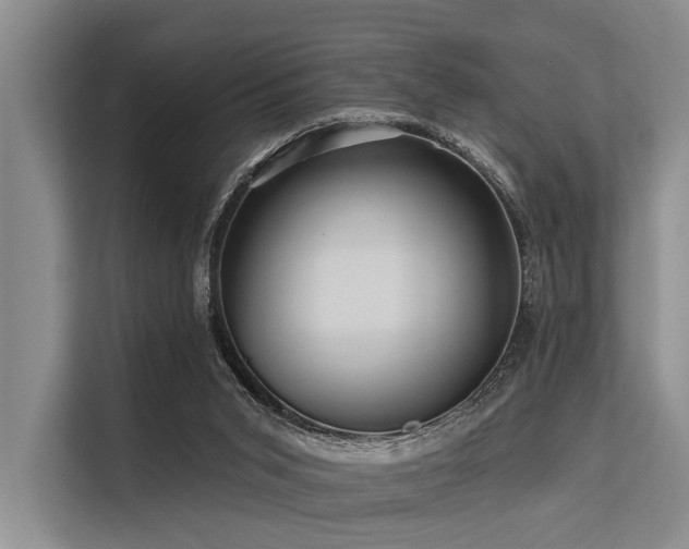 X0000113550015200909181208