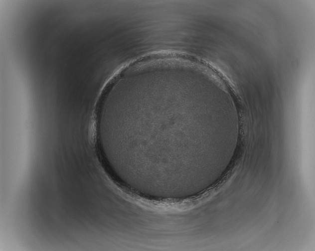 X0000113550016200909181208