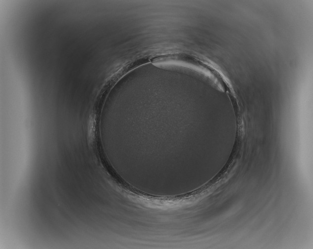 X0000113550018200909181208