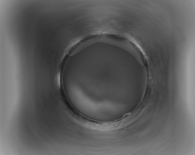 X0000113550019200909181208