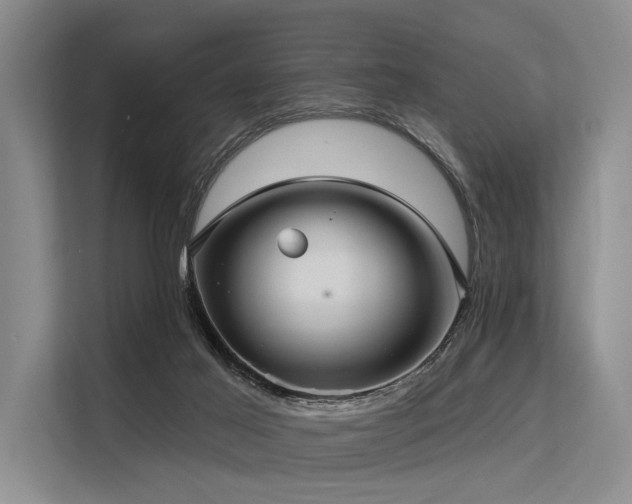 X0000113550021200909181208