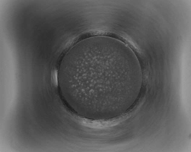 X0000113550022200909181208