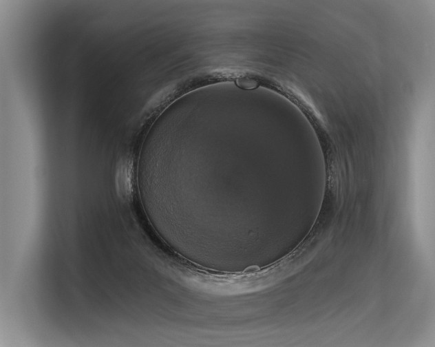 X0000113550023200909181208