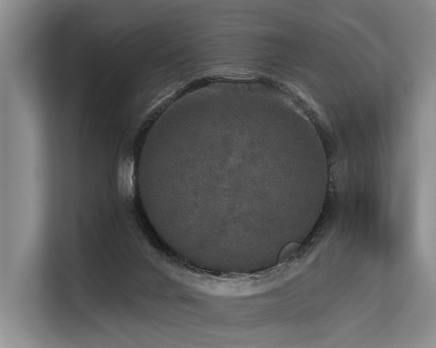 X0000113550024200909181208