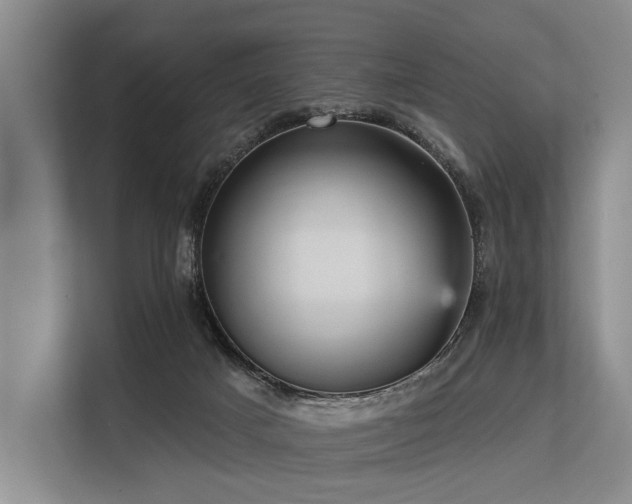 X0000113550025200909181208