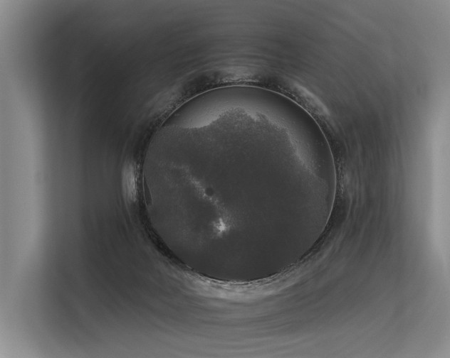 X0000113550026200909181208