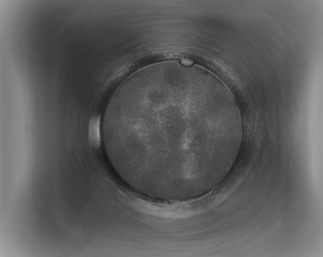 X0000113550028200909181208