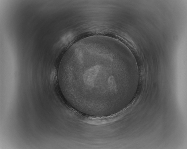 X0000113550029200909181208