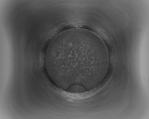 X0000113550030200909181208