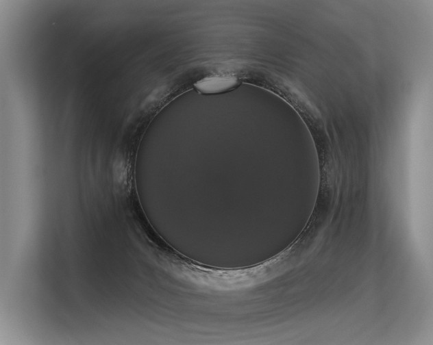 X0000113550031200909181208