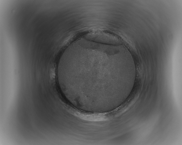 X0000113550032200909181208