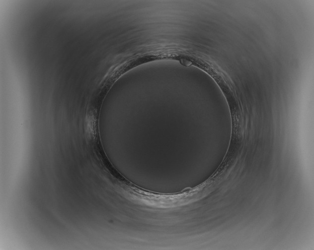 X0000113550035200909181208