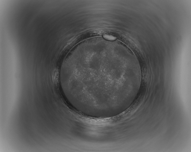 X0000113550036200909181208