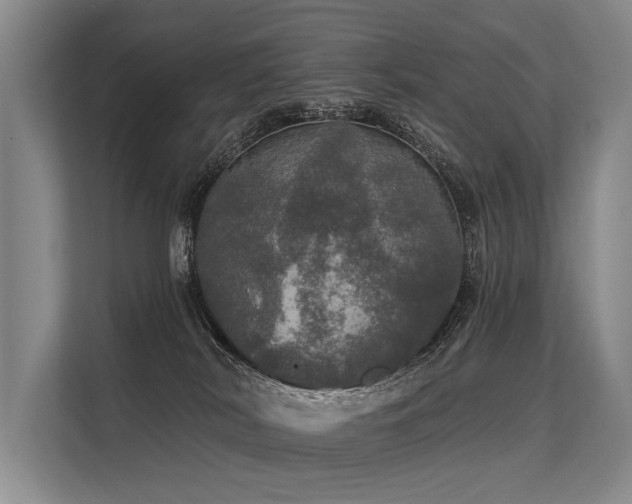 X0000113550038200909181208