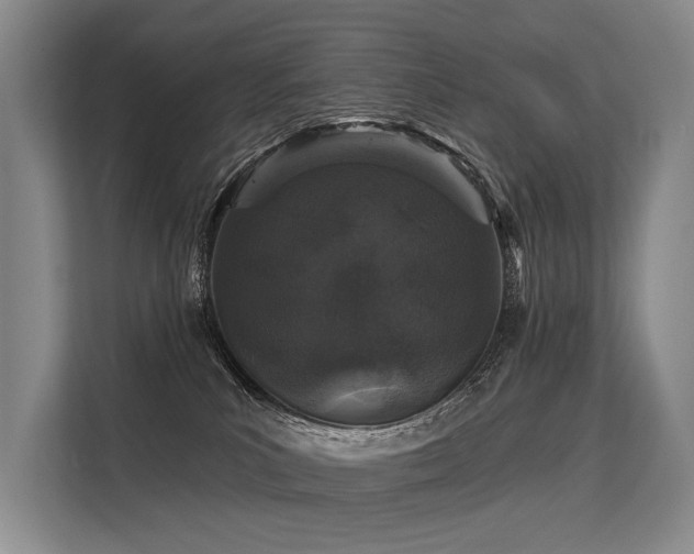 X0000113550039200909181208