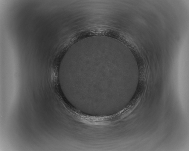 X0000113550040200909181208