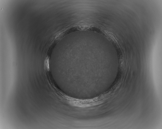 X0000113550042200909181208